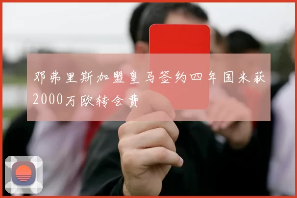 邓弗里斯加盟皇马签约四年国米获2000万欧转会费